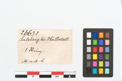 Etikett zu Bronzering (NHMW-PRAE-026638)